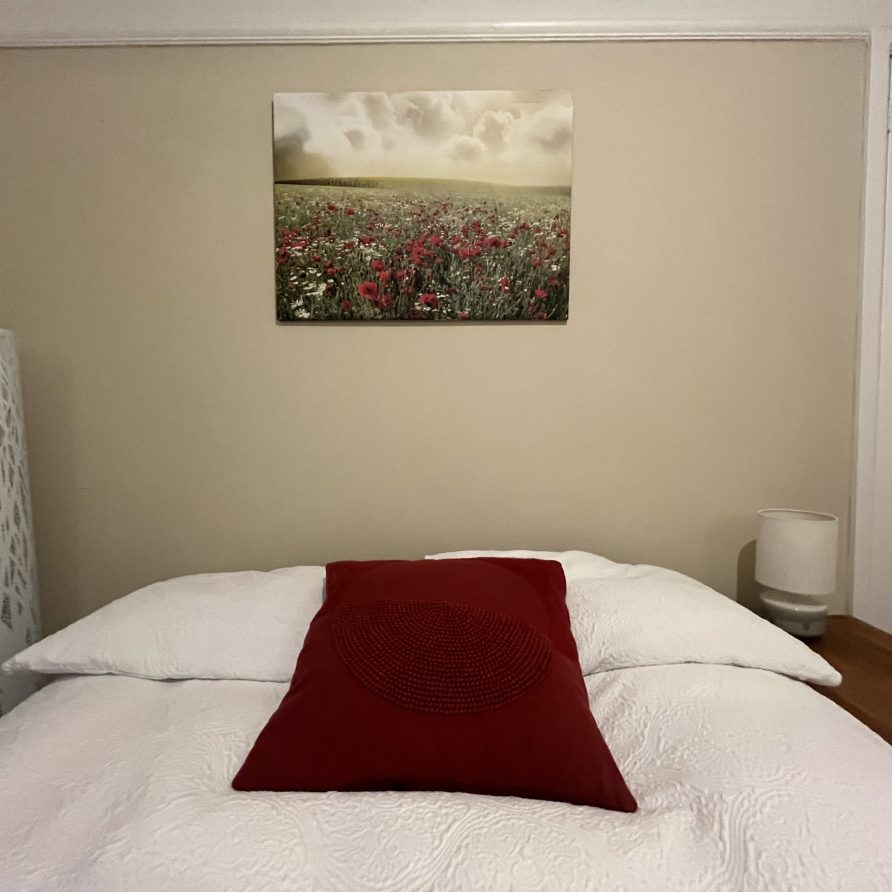 Ground floor large single room (12)