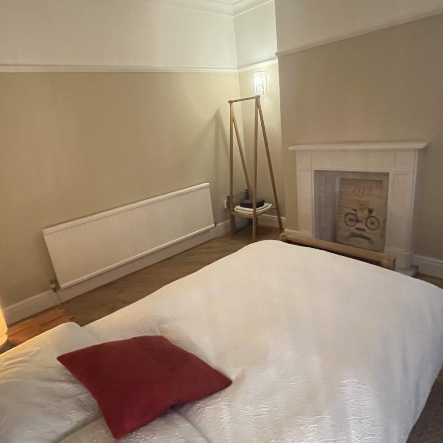 Ground floor large single room (3)