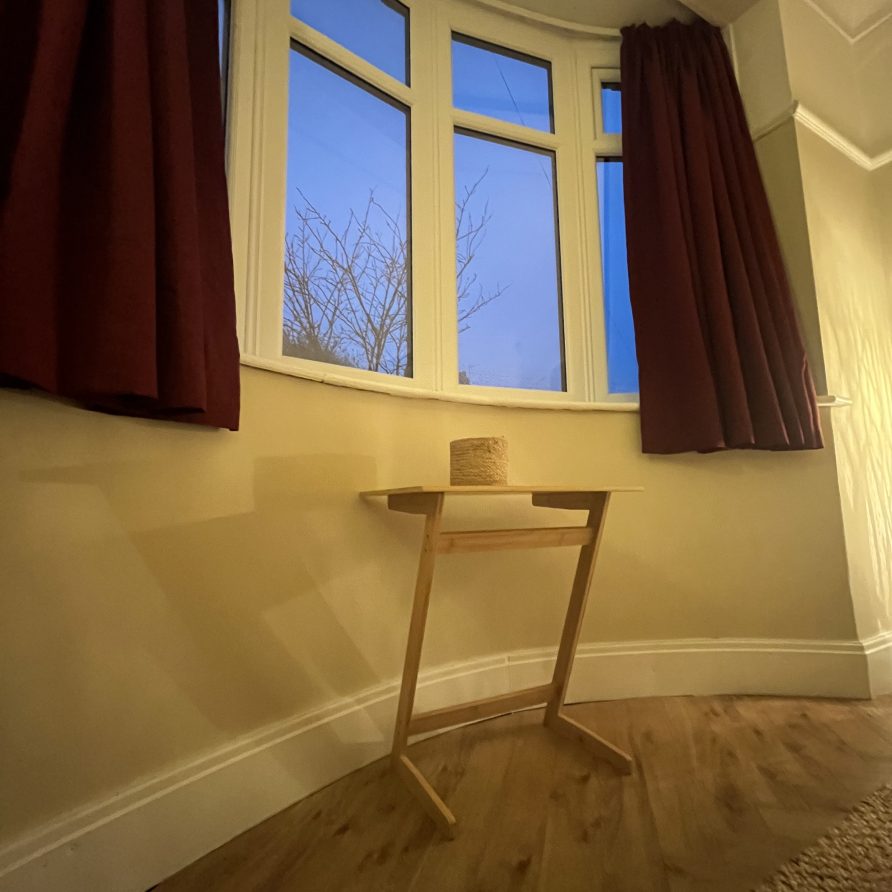 Ground floor large single room (7)